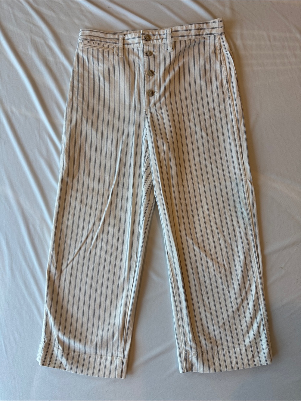 Madewell Women’s Pinstripe Slim Emmett Wide-Leg Crop Pants, Size 30